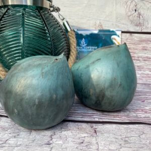 Coconut’s ptaszki ceramiczne